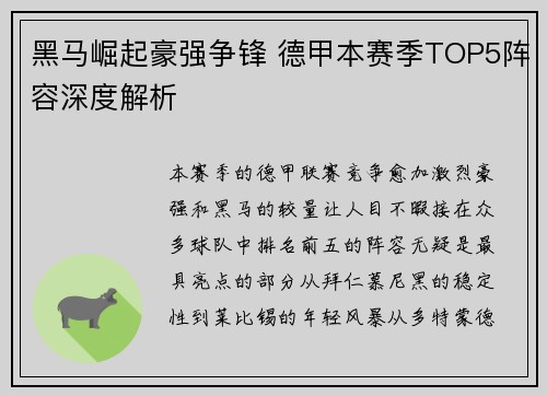 黑马崛起豪强争锋 德甲本赛季TOP5阵容深度解析
