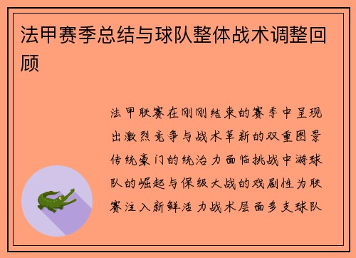 法甲赛季总结与球队整体战术调整回顾